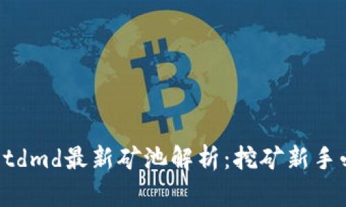 tpWalletdmd最新矿池解析:挖矿新手必看指南