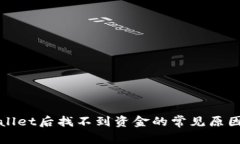 提币到tpWallet后找不到资金