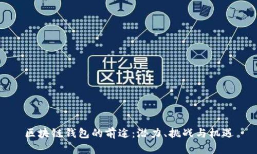 区块链钱包的前途:潜力、挑战与机遇