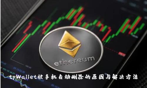 tpWallet被手机自动删除的原因与解决方法