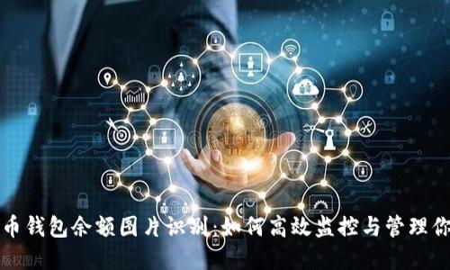 数字货币钱包余额图片识别：如何高效监控与管理你的资产