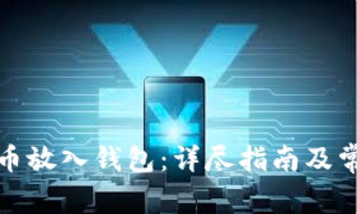 如何将虚拟币放入钱包:详尽指南及常见问题解答