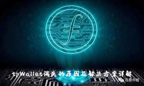 tpWallet消失的原因及解决方案详解