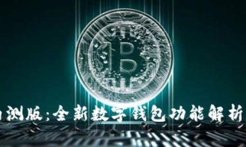 tpWallet内测版：全新数字钱包功能解析与使用指南