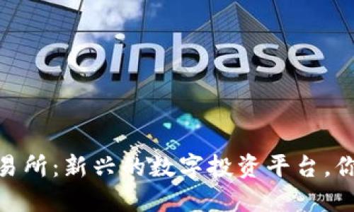 BHE数字资产交易所:新兴的数字投资平台,你必须了解的一切