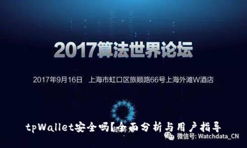 tpWallet安全吗?全面分析与用户指导
