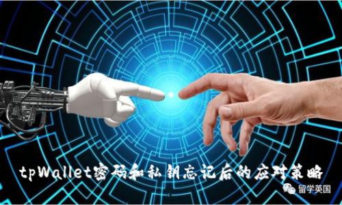 tpWallet密码和私钥忘记后的应对策略
