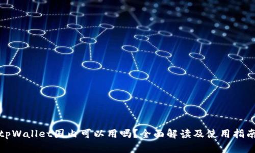 tpWallet国内可以用吗?全面解读及使用指南