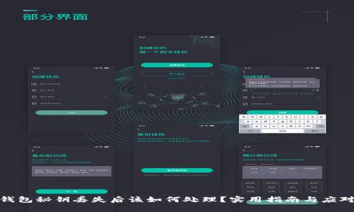 加密钱包秘钥丢失后该如何处理?实用指南与应对策略