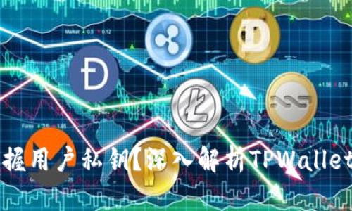 tpWallet官方是否掌握用户私钥?深入解析TPWallet的安全性与隐私保护