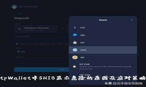 tpWallet中SHIB显示危险的原因及应对策略