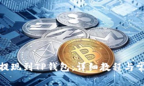 如何将欧意提现到TP钱包:详细教程与常见问题解答