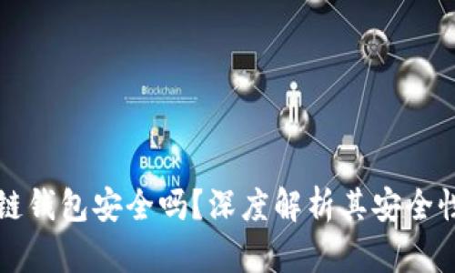 TP币安智能链钱包安全吗?深度解析其安全性与使用指南