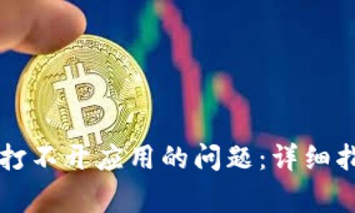 如何解决tpWallet打不开应用的问题:详细指南与常见问题解答