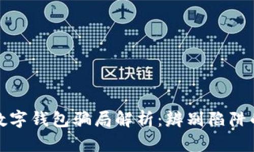 去中心化数字钱包骗局解析:辨别陷阱的关键技巧