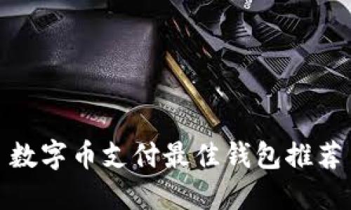 数字币支付最佳钱包推荐