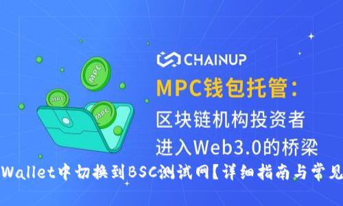 如何在tpWallet中切换到BSC测试网?详细指南与常见问题解答