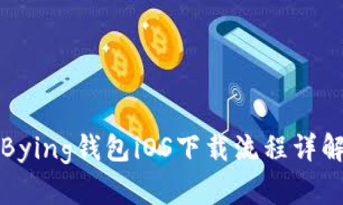 Bying钱包iOS下载流程详解