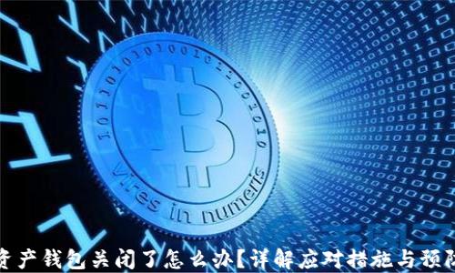
数字资产钱包关闭了怎么办？详解应对措施与预防技巧