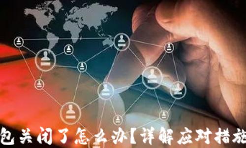 
数字资产钱包关闭了怎么办？详解应对措施与预防技巧