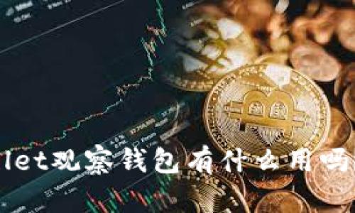 你知道tpWallet观察钱包有什么用吗?让我们聊聊!