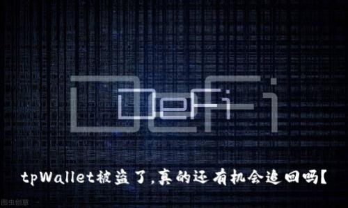 tpWallet被盗了,真的还有机会追回吗?