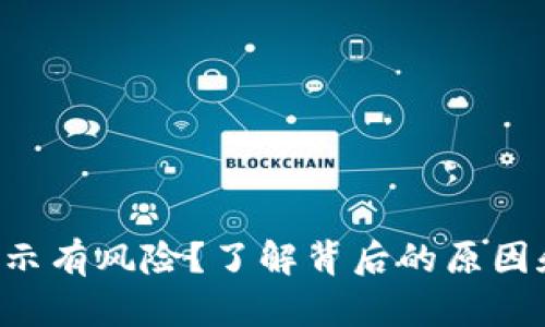 tpWallet提示有风险？了解背后的原因和应对措施！