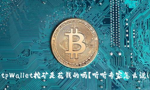 tpWallet挖矿是花钱的吗?听听专家怎么说!