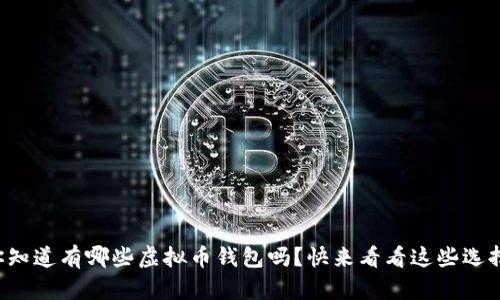 你知道有哪些虚拟币钱包吗?快来看看这些选择!