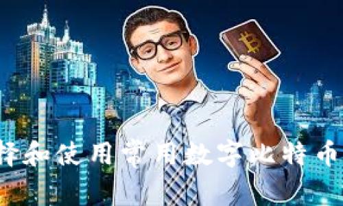 如何选择和使用常用数字比特币热钱包?