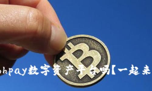 你了解bhpay数字资产平台吗？一起来看看吧！