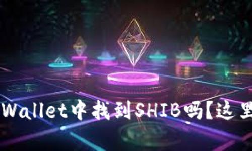 你知道如何在TP Wallet中找到SHIB吗？这里有你需要的一切！