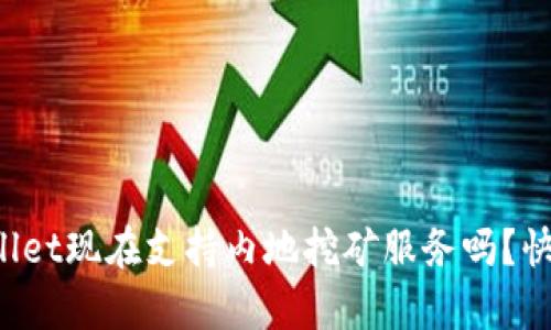 你知道tpWallet现在支持内地挖矿服务吗?快来了解一下!