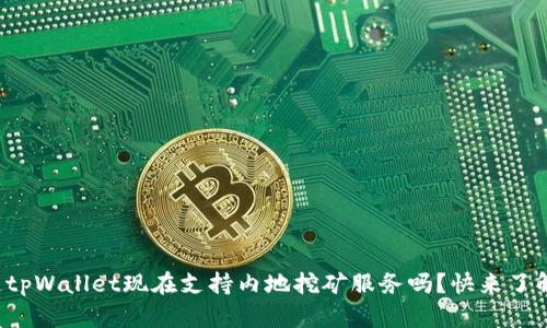 你知道tpWallet现在支持内地挖矿服务吗?快来了解一下!