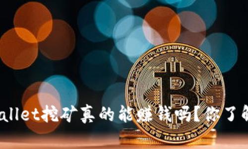 tpWallet挖矿真的能赚钱吗?你了解吗?