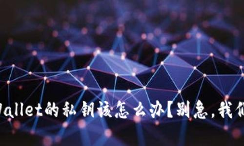 忘记tpWallet的私钥该怎么办？别急，我们来帮你！