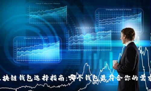 区块链钱包选择指南：哪个钱包最符合你的需求？