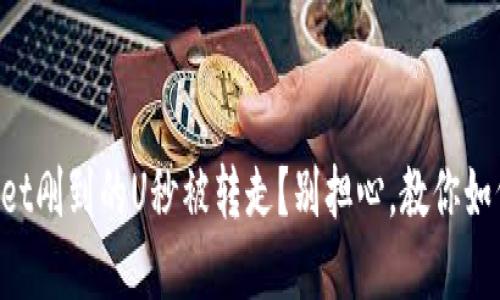 “tpWallet刚到的U秒被转走？别担心，教你如何应对！”