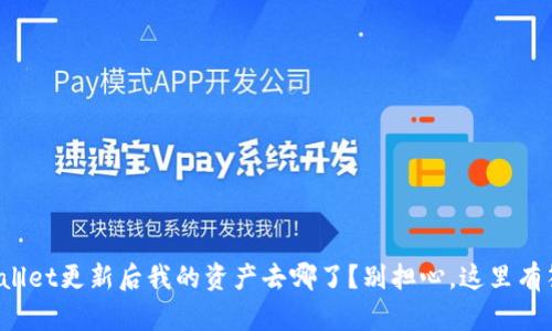 tpWallet更新后我的资产去哪了？别担心，这里有答案！