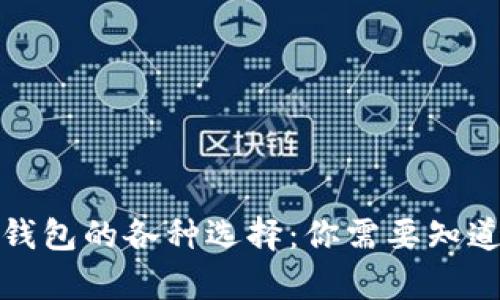 探索加密货币钱包的各种选择：你需要知道的名称大全集