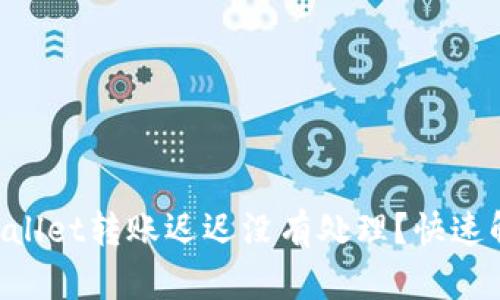 为什么我的tpWallet转账迟迟没有处理？快速解决方法大揭秘！
