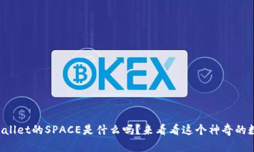 你知道tpWallet的SPACE是什么吗？来看看这个神奇的数字钱包吧！