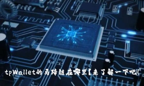 tpWallet的马蹄链在哪里？来了解一下吧！