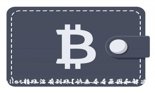 “tpWallet转账没有到账？快来看看原因和解决办法！”