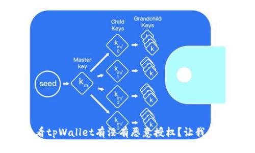 怎么查看tpWallet有没有恶意授权？让我们来聊聊！