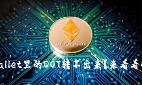 为什么tpWallet里的DOT转不出来？来看看解决方案吧！