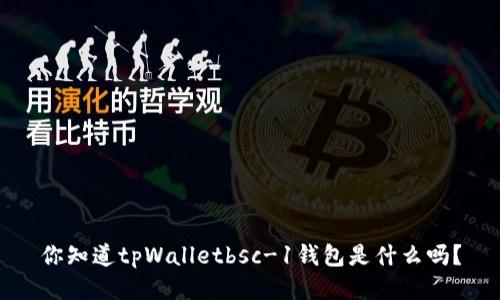 你知道tpWalletbsc-1钱包是什么吗？