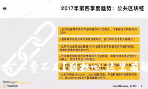 tpWallet矿工费不足?别担心,这里有解决方案!