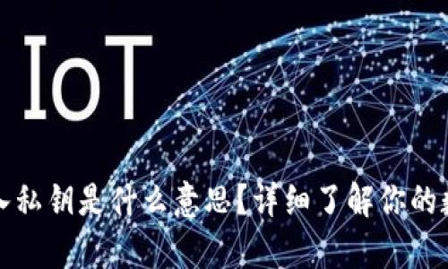 tpWallet导入私钥是什么意思?详细了解你的数字资产安全
