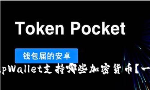 怎么查看tpWallet支持哪些加密货币？一起探索吧！